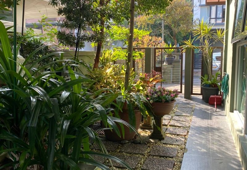 Rafflesia @ The Park