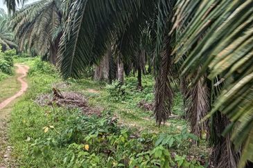 Kuala Pilah, Kuala Pilah, Negeri Sembilan, Agricultural Land For Sale