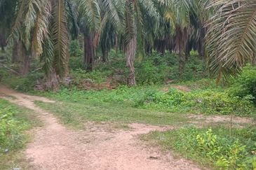 Kuala Pilah, Kuala Pilah, Negeri Sembilan, Agricultural Land For Sale