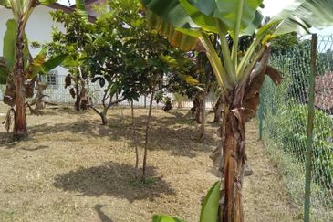 Bukit Pari Residence Mambau