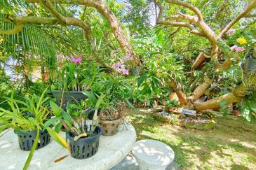 Green Street Homes Seremban 2