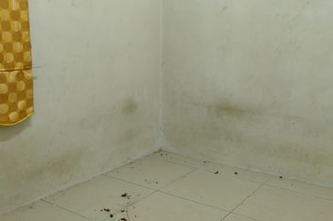 Taman Warisan Puteri