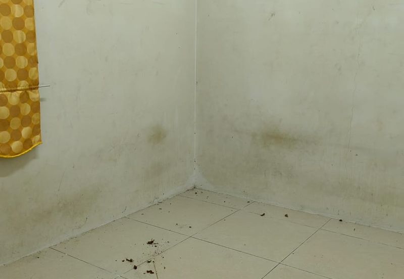 Taman Warisan Puteri