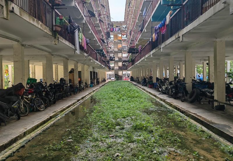 Gugusan Cempaka, Seksyen 6 Kota Damansara