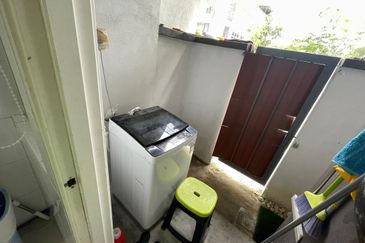 Siphonia @ Chemara Hills