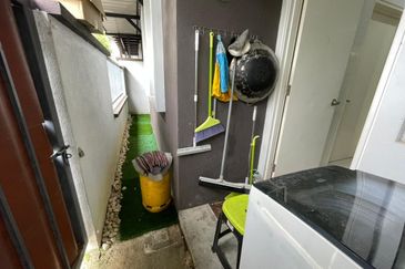 Siphonia @ Chemara Hills