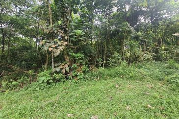 Bungalow Lot - Jalan Sungai Penchala 12 FREEHOLD Malay Reserved