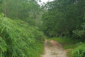 7.6 ACRES BUILDING LAND, FREEHOLD Malay Reserved, Templer Saujana Rawang