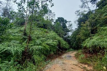 7.6 ACRES BUILDING LAND, FREEHOLD Malay Reserved, Templer Saujana Rawang