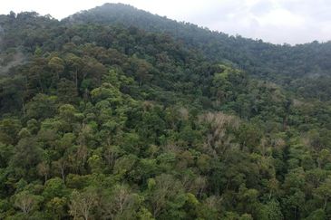 7.6 ACRES BUILDING LAND, FREEHOLD Malay Reserved, Templer Saujana Rawang