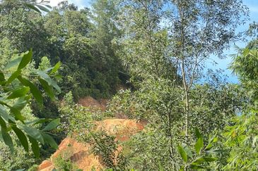 Malay Reserve Land 1.062 hectare (2.62acres)for sale