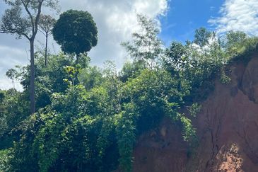 Malay Reserve Land 1.062 hectare (2.62acres)for sale