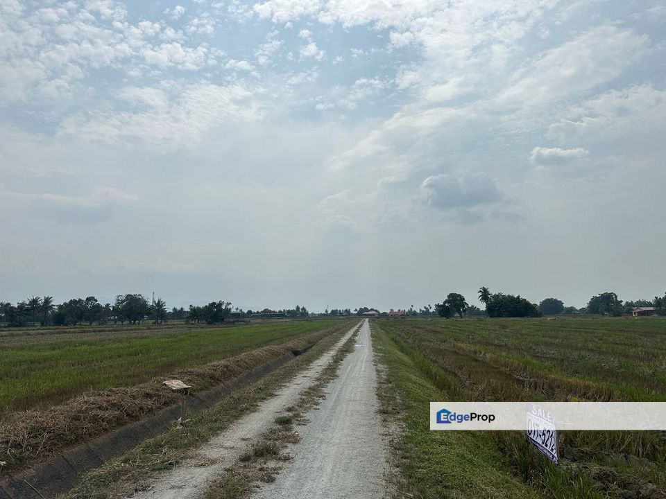 For Sale: Tanah Lot Di Permatang, Seberang Prai Utara, Pulau Pinang Below Market, Penang, Seberang Perai