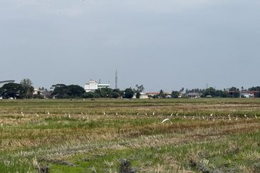Taman Emas, Seberang Perai