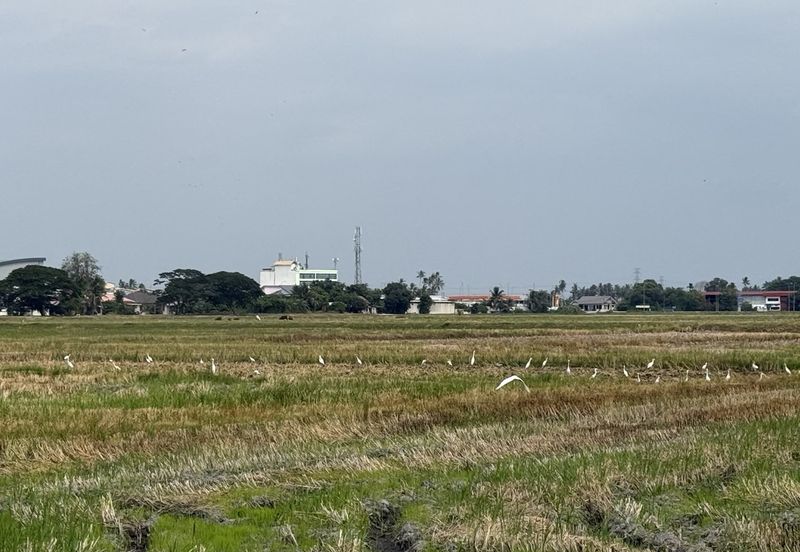 Taman Emas, Seberang Perai