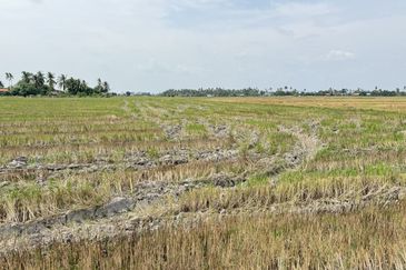 Taman Emas, Seberang Perai