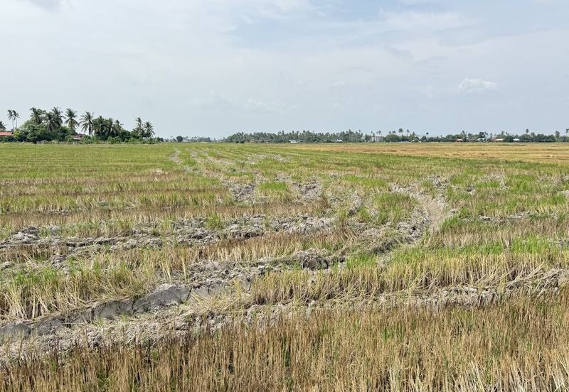 Taman Emas, Seberang Perai