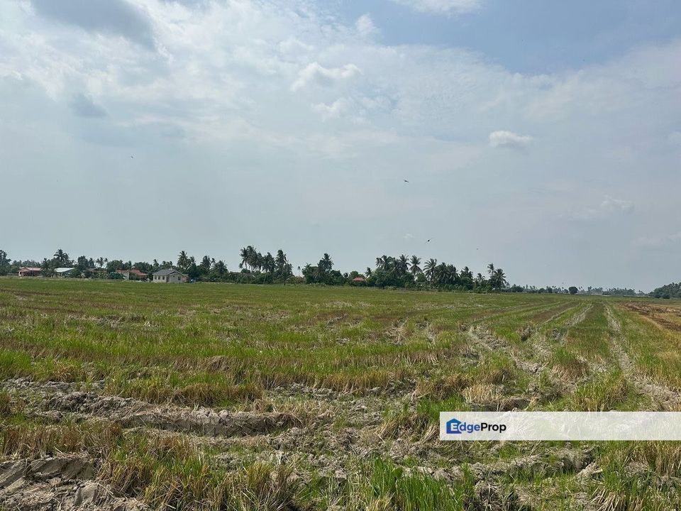 For Sale: Tanah Lot Di Permatang, Seberang Prai Utara, Pulau Pinang Below Market, Penang, Seberang Perai