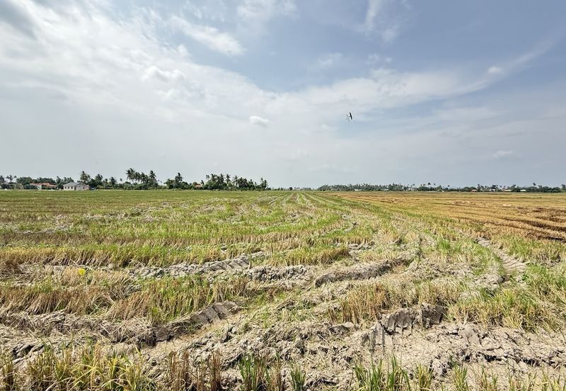 Taman Emas, Seberang Perai
