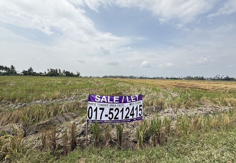 Taman Emas, Seberang Perai