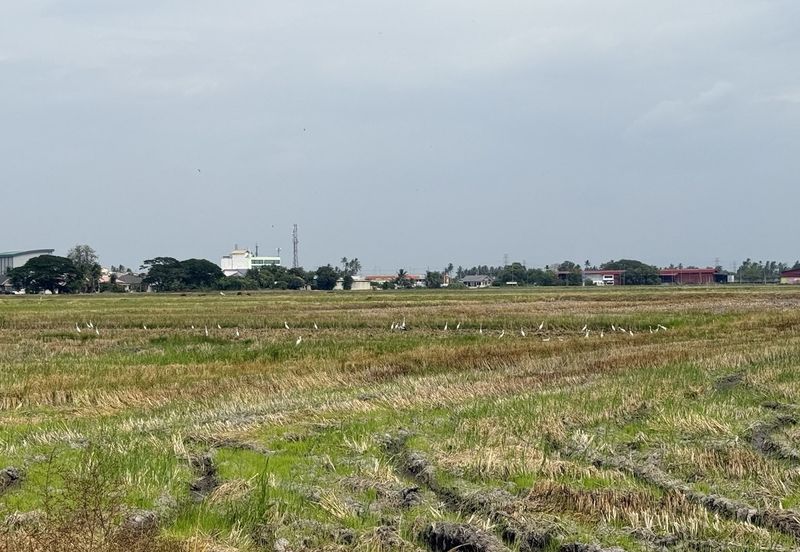 Taman Emas, Seberang Perai