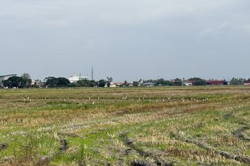 Taman Emas, Seberang Perai