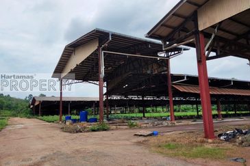 Land with Buildings @ Pulau Sebang, Alor Gajah, Melaka