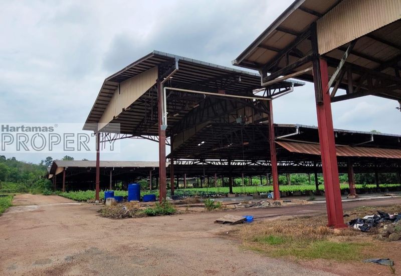 Land with Buildings @ Pulau Sebang, Alor Gajah, Melaka
