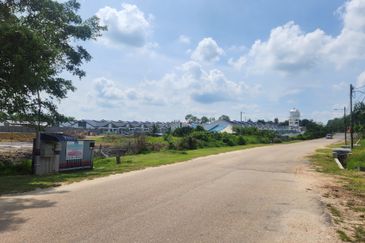 Land for Sale (Zoning: Agriculture) @ Mukim Chinchin, Jasin, Melaka