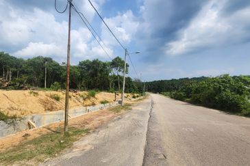 Land for Sale (Zoning: Agriculture) @ Mukim Chinchin, Jasin, Melaka