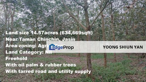 Land for Sale (Zoning: Agriculture) @ Mukim Chinchin, Jasin, Melaka, Melaka, Jasin