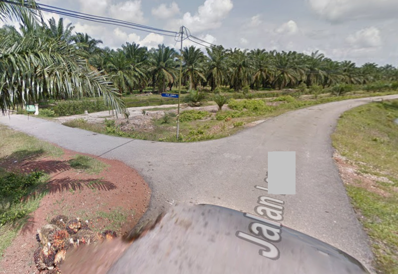 Land for Sale (Durian Farm) @ Merlimau, Jasin, Melaka