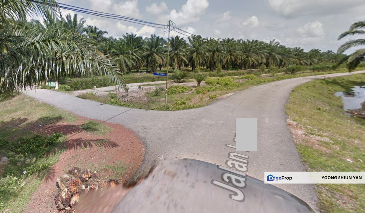 Land for Sale (Durian Farm) @ Merlimau, Jasin, Melaka, Melaka, Merlimau