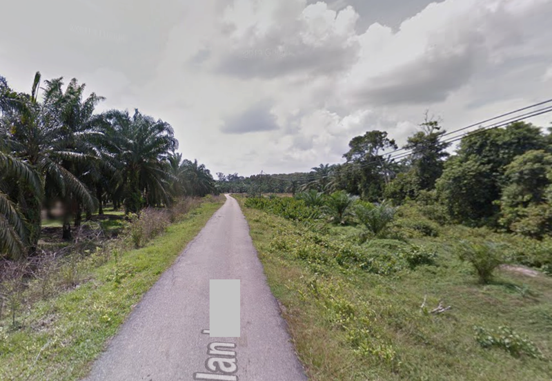 Land for Sale (Durian Farm) @ Merlimau, Jasin, Melaka