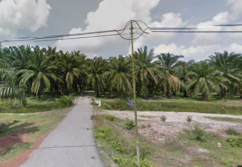 Land for Sale (Durian Farm) @ Merlimau, Jasin, Melaka