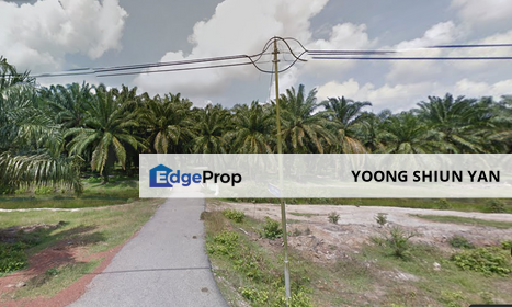 Land for Sale (Durian Farm) @ Merlimau, Jasin, Melaka, Melaka, Merlimau