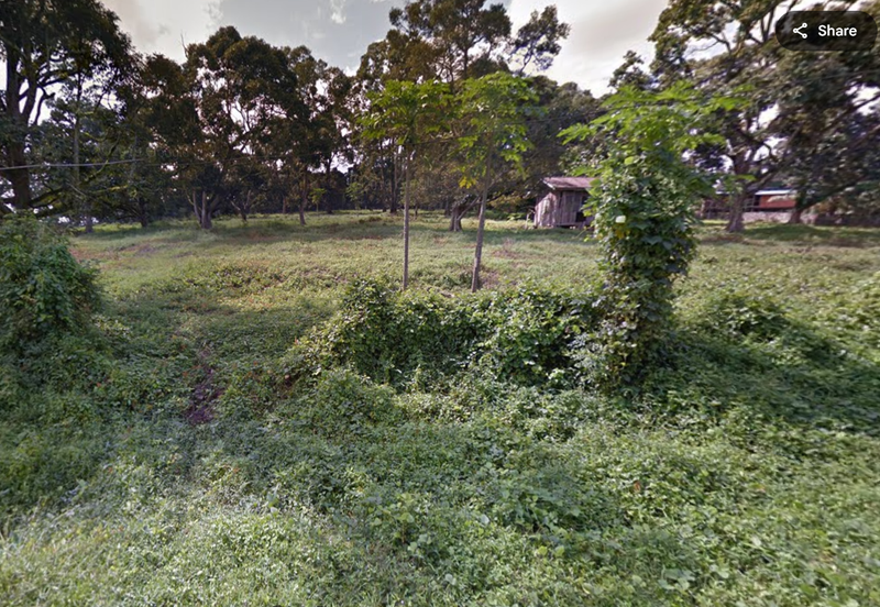 Agriculture Land (Durian Plantation) @ Near Bemban, Jasin, Melaka