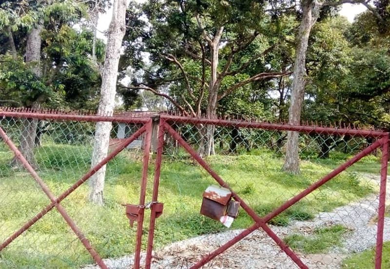 Agriculture Land (Durian Plantation) @ Near Bemban, Jasin, Melaka