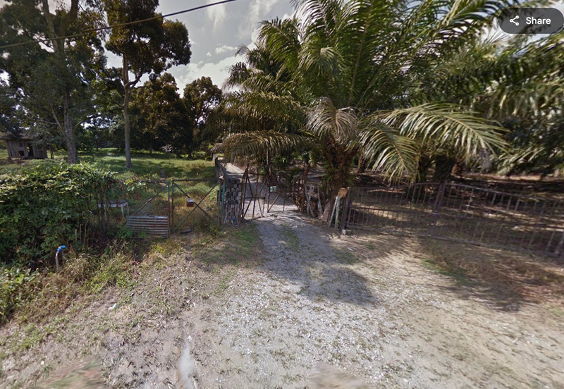Agriculture Land (Durian Plantation) @ Near Bemban, Jasin, Melaka