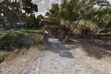 Agriculture Land (Durian Plantation) @ Near Bemban, Jasin, Melaka