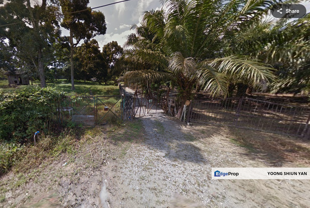 Agriculture Land (Durian Plantation) @ Near Bemban, Jasin, Melaka, Melaka, Jasin