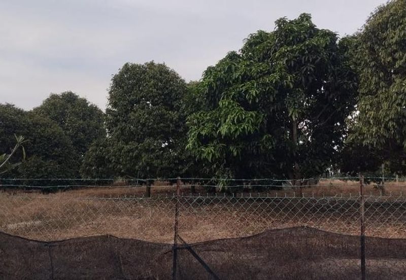 Orchard Land @ Mukim Bukit Lintang, Melaka Tengah