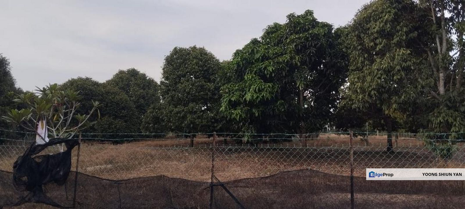 Orchard Land @ Mukim Bukit Lintang, Melaka Tengah, Melaka, Melaka Tengah