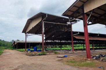 Land with Buildings @ Pulau Sebang, Alor Gajah