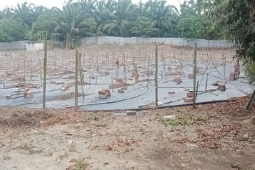 Land for Sale (Zoning: Agriculture) @ Parit Melana, Alor Gajah, Melaka