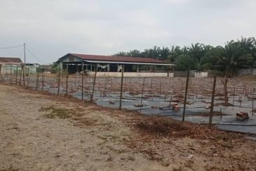 Land for Sale (Zoning: Agriculture) @ Parit Melana, Alor Gajah, Melaka