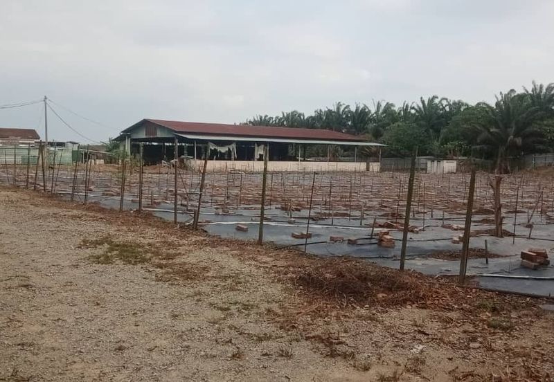 Land for Sale (Zoning: Agriculture) @ Parit Melana, Alor Gajah, Melaka