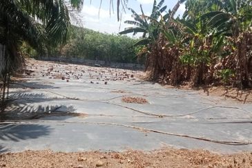 Land for Sale (Zoning: Agriculture) @ Parit Melana, Alor Gajah, Melaka