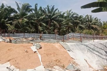 Land for Sale (Zoning: Agriculture) @ Parit Melana, Alor Gajah, Melaka