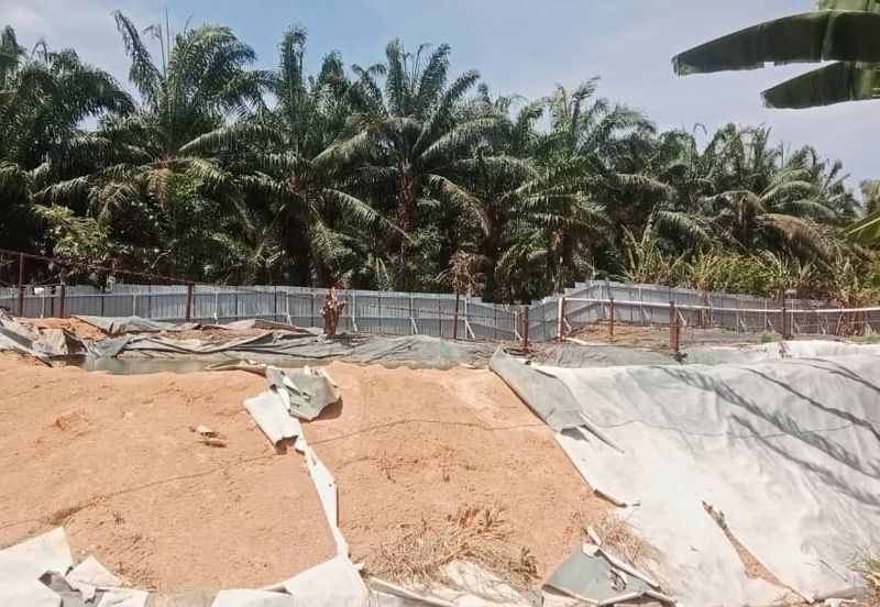 Land for Sale (Zoning: Agriculture) @ Parit Melana, Alor Gajah, Melaka